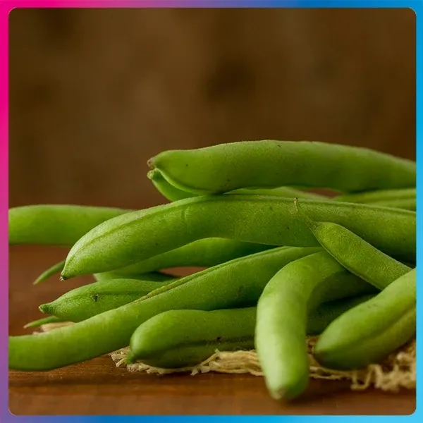 Beans.webp