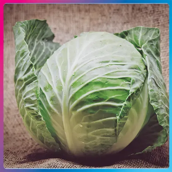 Cabbage.webp