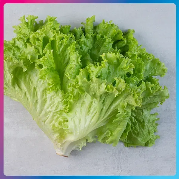 Lettuce.webp