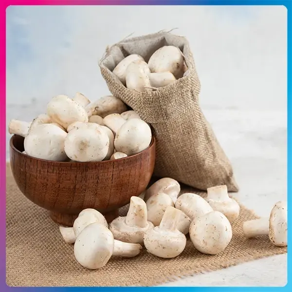 Mushrooms.webp